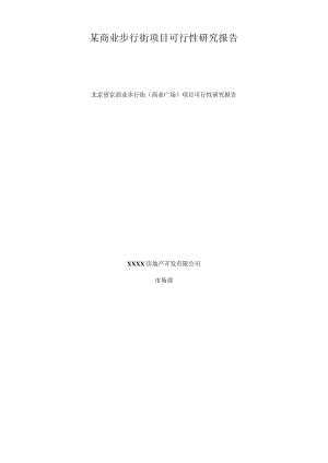 某商业步行街项目可行性研究报告.docx