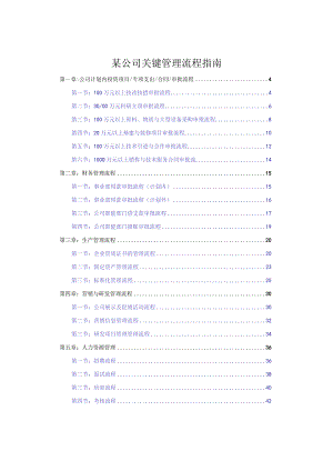 某公司关键管理流程指南.docx