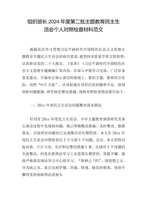 组织部长2024年度第二批主题教育民主生活会个人对照检查材料范文.docx