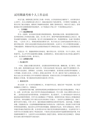 试用期满考核个人工作总结.docx