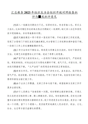 汇总数条2023年组织生活会组织开展对照检查批评与自我批评意见.docx