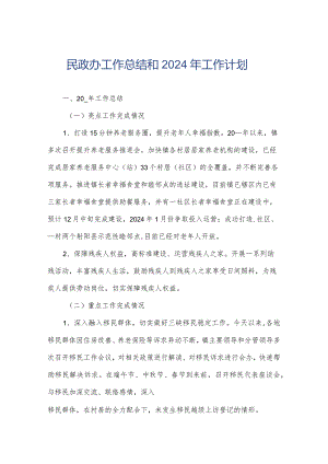 民政办工作总结和2024年工作计划.docx