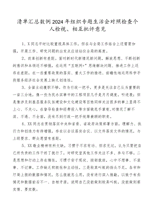 清单汇总数例2024年组织专题生活会对照检查个人检视、相互批评意见.docx