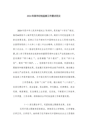 2024年某市纪检监察工作要点范文.docx
