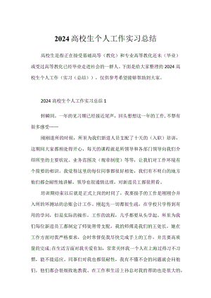 2024大学生个人工作实习总结.docx