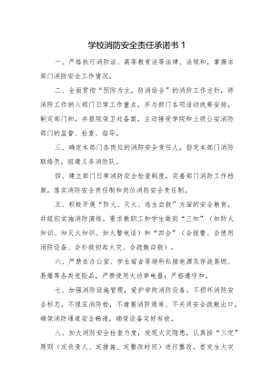 消防安全责任承诺书30篇.docx