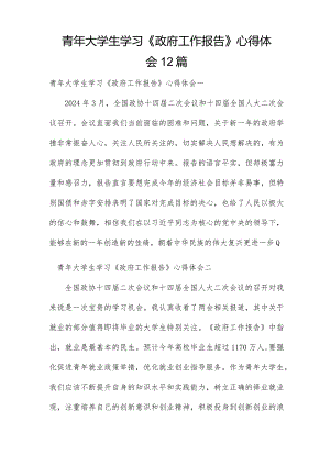 青年大学生学习《政府工作报告》心得体会12篇.docx