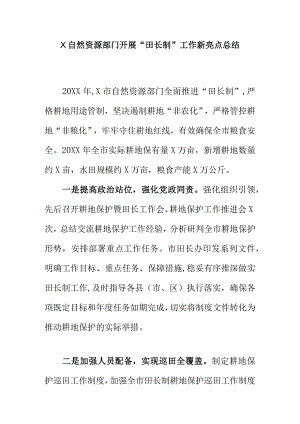 X自然资源部门开展“田长制”工作新亮点总结.docx