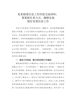 某某镇委信息工作经验交流材料：紧紧抓住着力点脚踏实地做好党委信息工作.docx