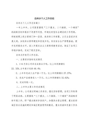 自来水个人工作总结.docx