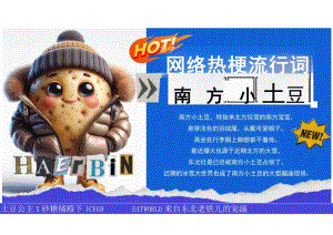 活动策划-2024东北特色冰雪嘉年华土豆公主×砂糖橘殿下×来自东北老铁儿的宠溺打卡冰雪王国主题活动策划案.docx