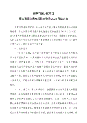 项目部重大事故隐患专项排查整治2023行动方案》.docx