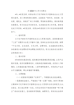 村2024年工作计划要点.docx