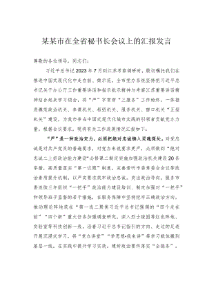某某市在全省秘书长会议上的汇报发言.docx