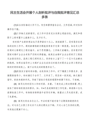 民主生活会开展个人剖析批评与自我批评意见汇总多条.docx