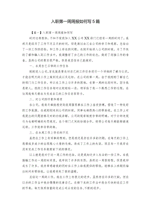 入职第一周周报如何写5篇.docx