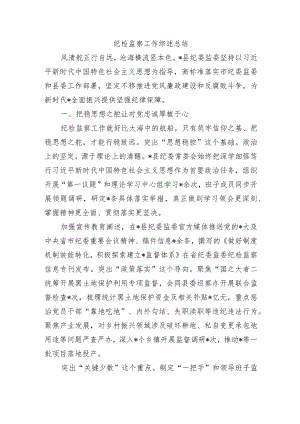 纪检监察工作综述总结.docx