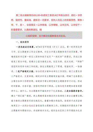 街道主题教育自查报告.docx