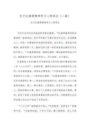 关于红旗渠精神学习心得体会(二篇).docx