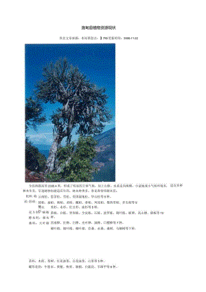 施甸县植物资源现状.docx