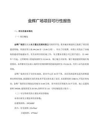 某广场项目可行性报告.docx