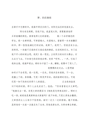 梦仍在继续.docx