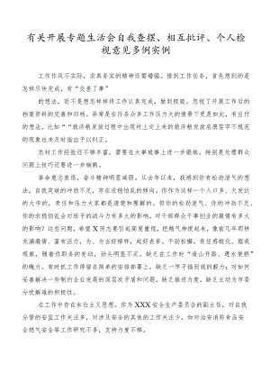 有关开展专题生活会自我查摆、相互批评、个人检视意见多例实例.docx