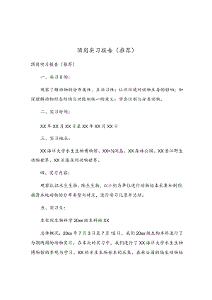 顶岗实习报告（推荐）.docx