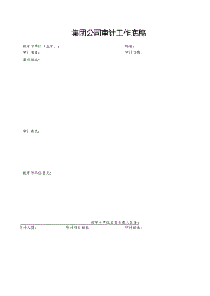 集团公司审计工作底稿.docx