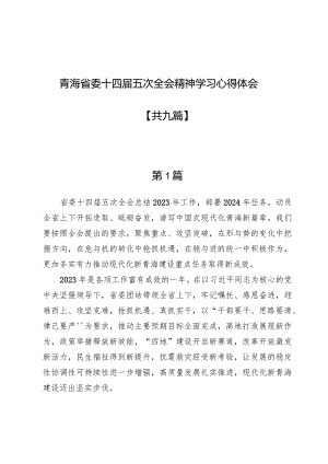 青海省委十四届五次全会精神学习心得体会【九篇】.docx