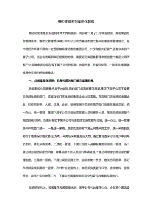 组织管理系列集团化管理.docx