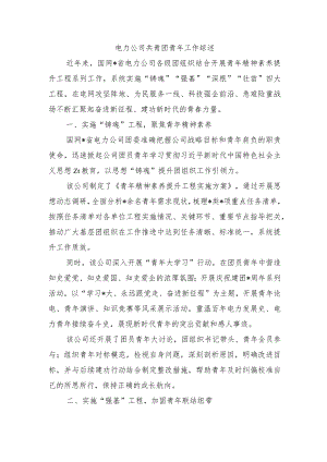 电力公司共青团青年工作综述.docx