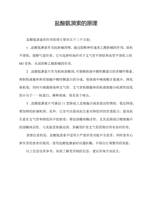 盐酸氨溴索的原理.docx