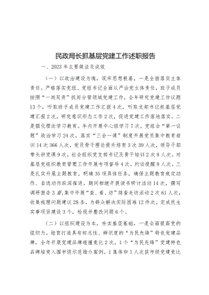 民政局长抓基层党建工作述职报告&2024年安全生产工作计划.docx