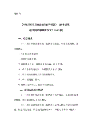项目支出绩效自评报告（参考提纲）2018.docx