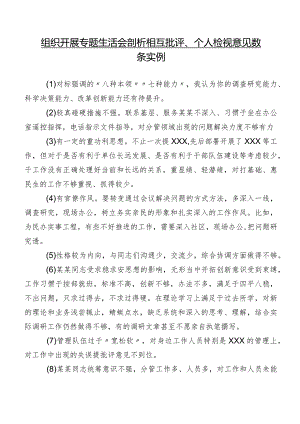 组织开展专题生活会剖析相互批评、个人检视意见数条实例.docx