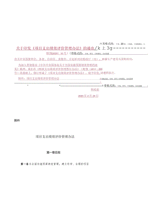 项目支出绩效评价管理办法.docx