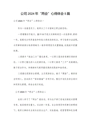 公司2024年“两会”心得体会5篇.docx