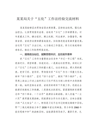 某某局关于“五化”工作法经验交流材料.docx
