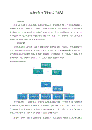 校企合作电商平台运行策划.docx