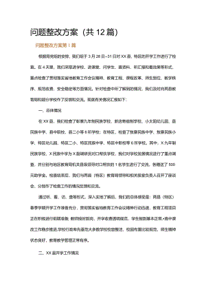 问题整改方案.docx
