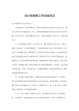 幼小衔接班工作总结范文.docx