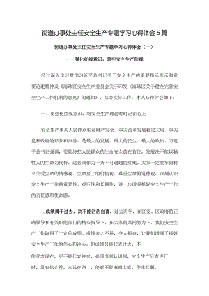 街道办事处主任安全生产专题学习心得体会5篇.docx
