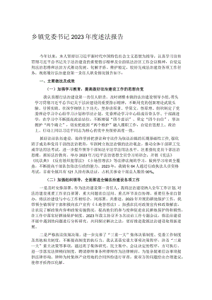 乡镇党委书记2023年度述法报告.docx