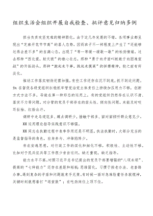 组织生活会组织开展自我检查、批评意见归纳多例.docx