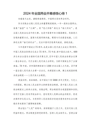 2024年全国两会开幕感悟心得.docx
