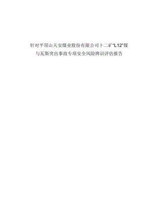 针对平顶山天安煤业股份有限公司十二矿“1.12”煤与瓦斯突出事故专项辨识评估报告-副本.docx