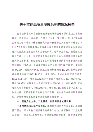 高质量发展情况报告.docx