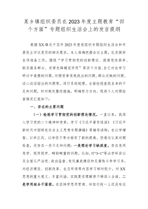 某乡镇组织委员在2023年度主题教育“四个方面”专题组织生活会上的发言提纲.docx