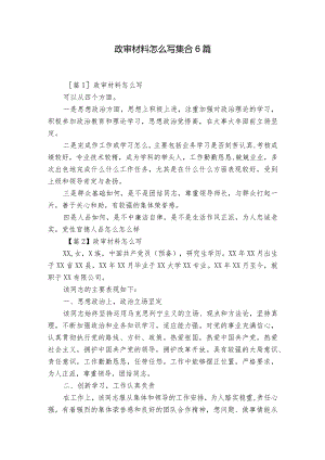 政审材料怎么写集合6篇.docx